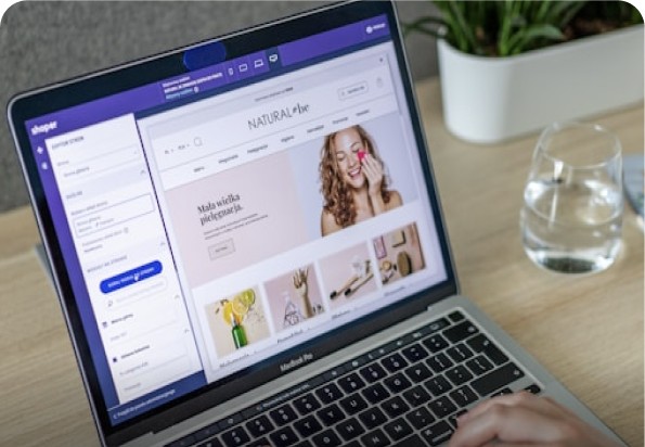 Agente para Ecommerce